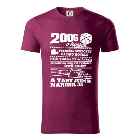 2006 v kostce