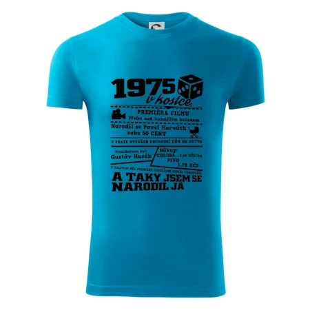 1975 v kostce