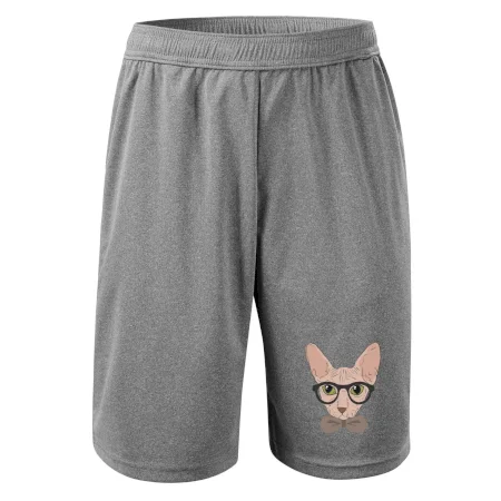 Hipster sphynx