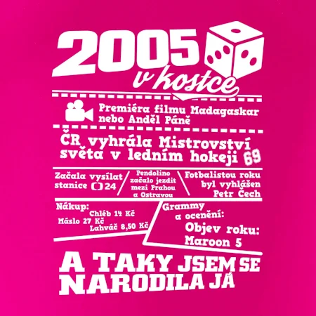 2005 v kostce