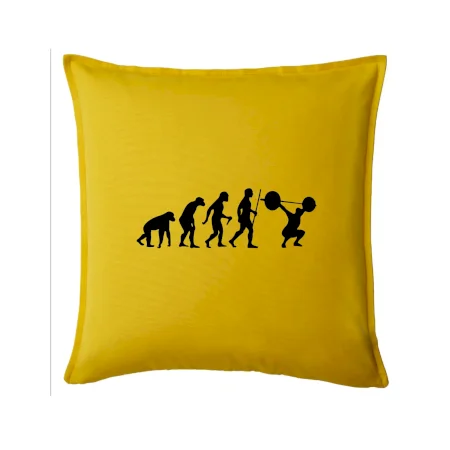 Evolution fitness