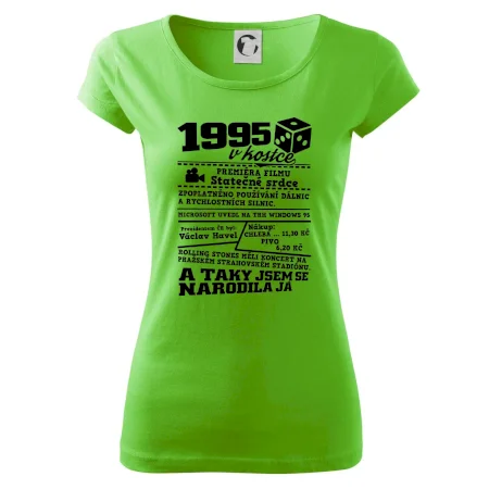 1995 v kostce