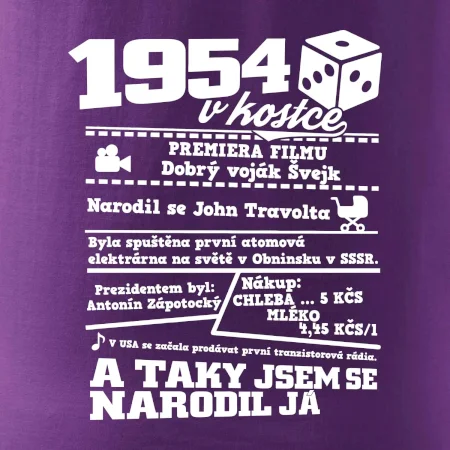 1954 v kostce