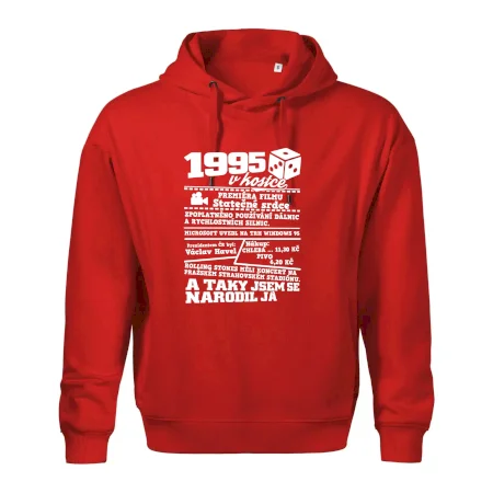 1995 v kostce