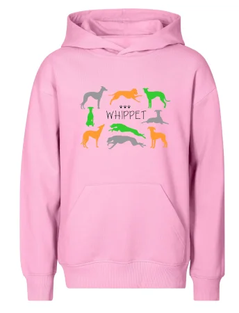 Whippet barevný
