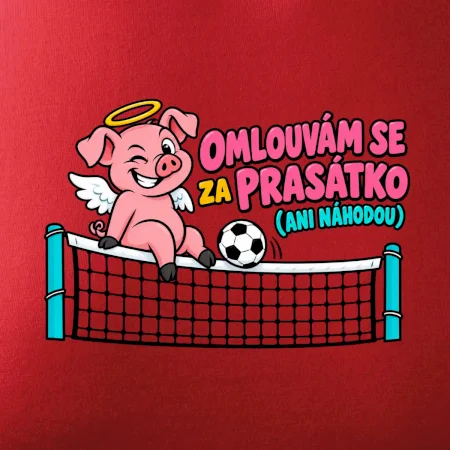 Nohejbalové prasátko na síti