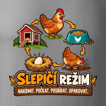 Slepičí režim od krmení po sběr vajec