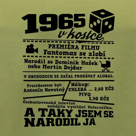 1965 v kostce