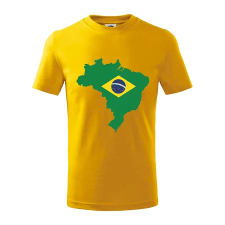 Brazílie vlajka v mapě