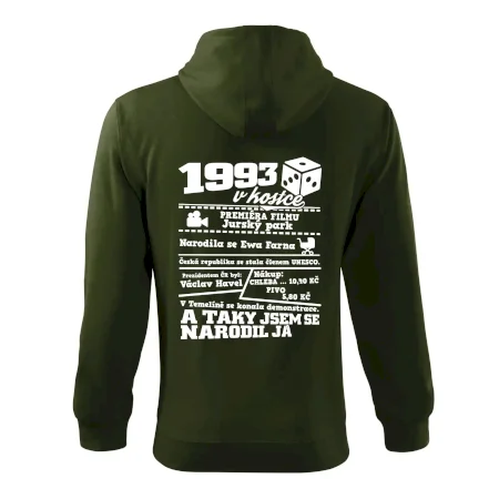 1993 v kostce