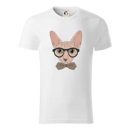 Hipster sphynx