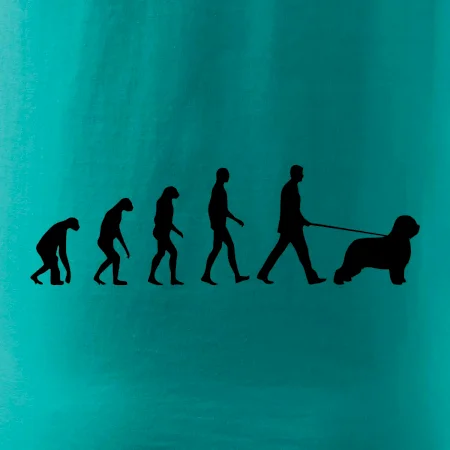 Evoluce pes Briard