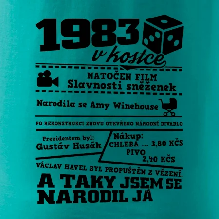 1983 v kostce