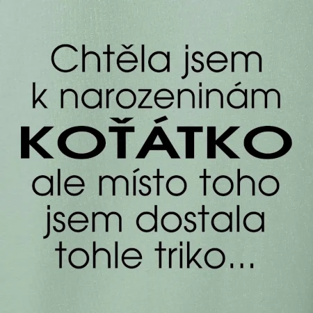 Chtěla jsem dostat k narozeninám koťátko
