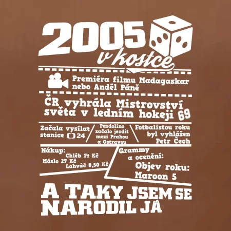 2005 v kostce