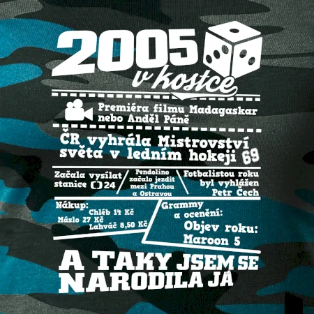 2005 v kostce