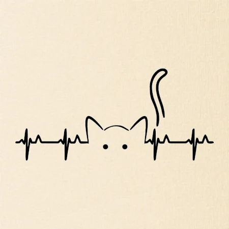 Kočka EKG