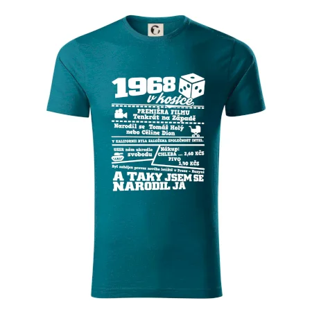 1968 v kostce