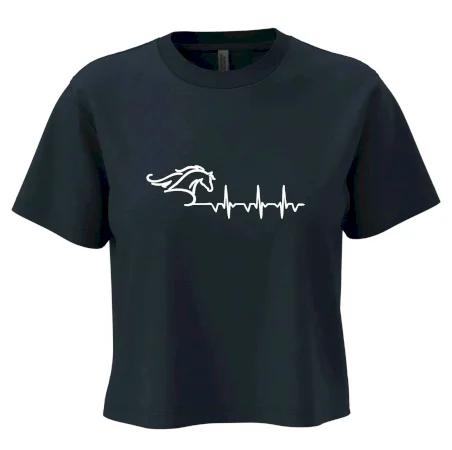 Hlava koně EKG