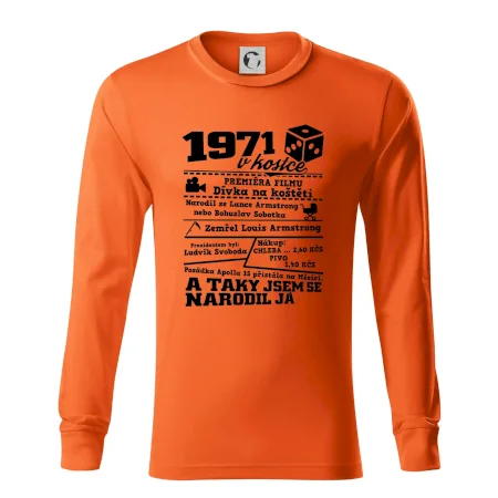 1971 v kostce
