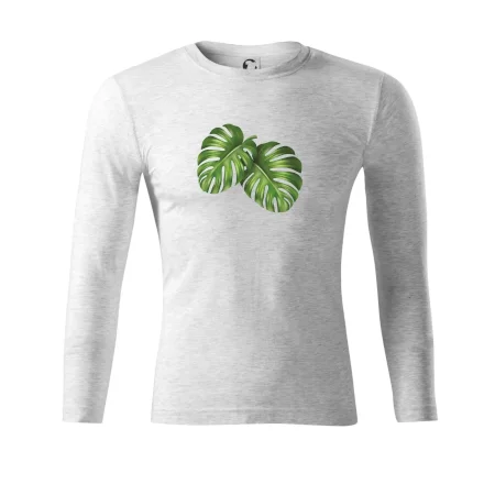 Monstera - dva listy