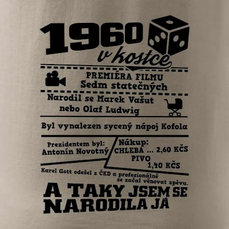 1960 v kostce