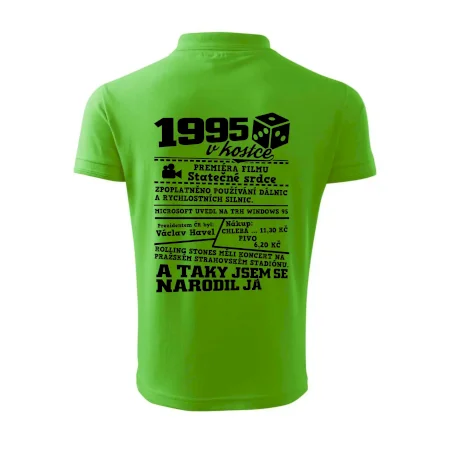 1995 v kostce