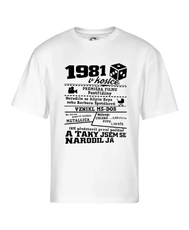 1981 v kostce