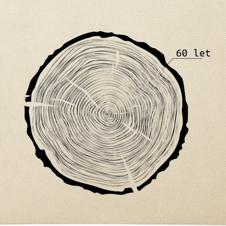 Letokruhy - 60