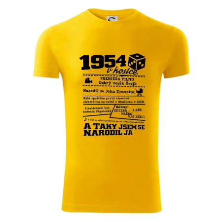 1954 v kostce