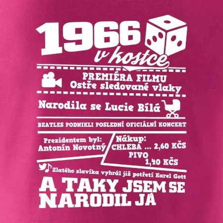 1966 v kostce