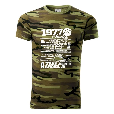 1977 v kostce