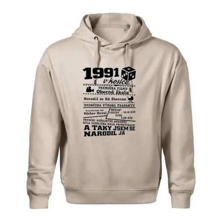 1991 v kostce