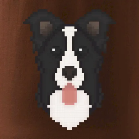 Border kolie Pixel