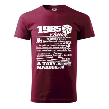 1985 v kostce