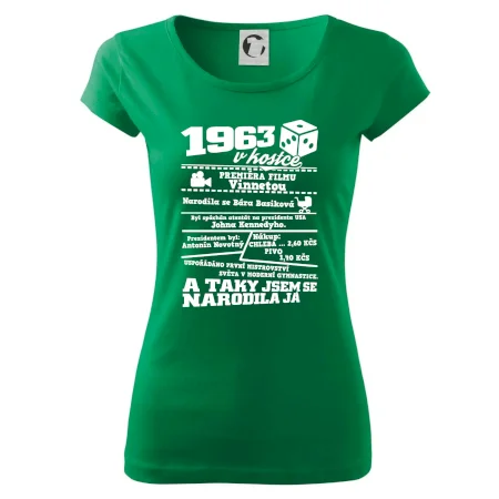 1963 v kostce