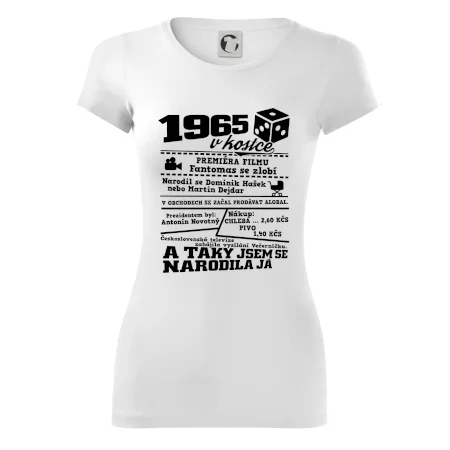 1965 v kostce
