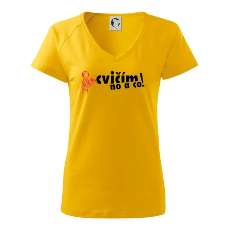 Cvičím no a co!