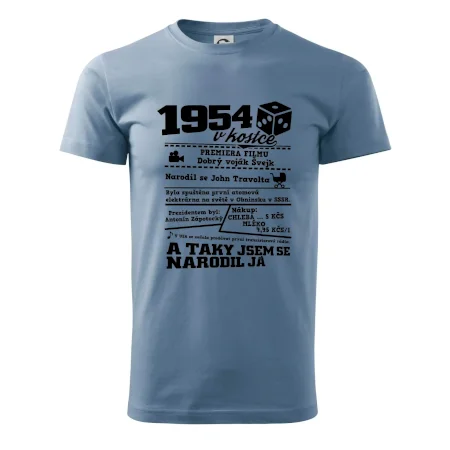 1954 v kostce