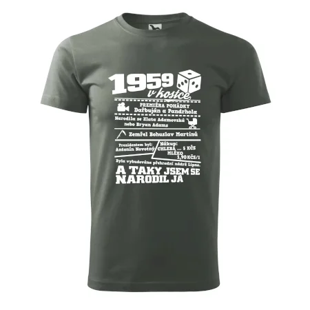 1959 v kostce