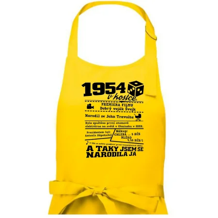 1954 v kostce