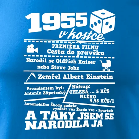 1955 v kostce