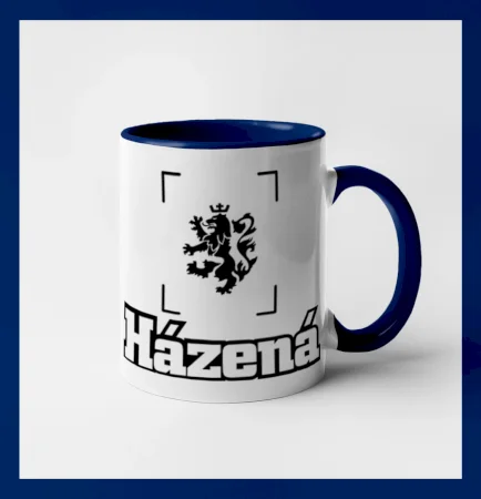 Národní házená lev