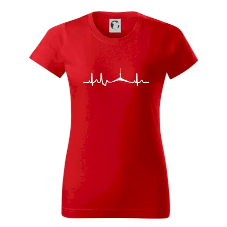 Ekg Jeseníky