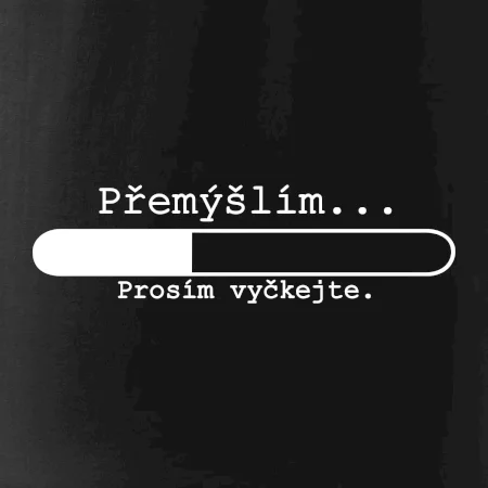 Přemýšlím