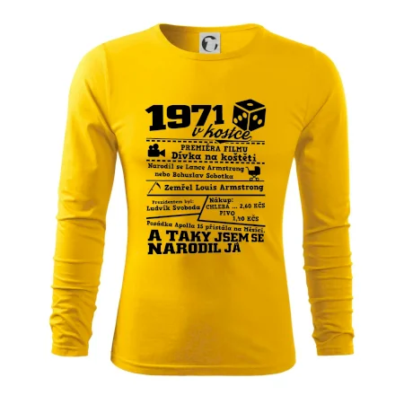 1971 v kostce
