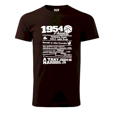 1954 v kostce