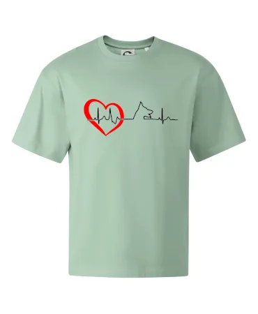 Německý ovčák ekg