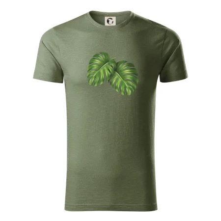Monstera - dva listy