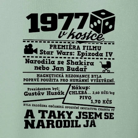 1977 v kostce